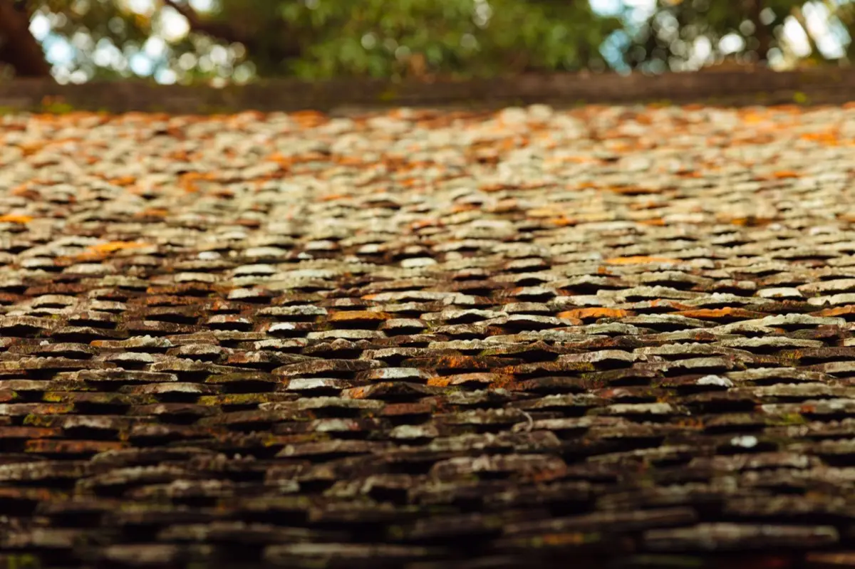 Aging shingle roof with moss growth and granule loss in Utica, NY